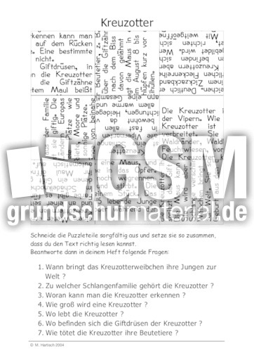 Kreuzotter.pdf